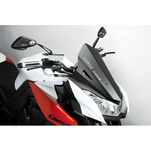Deprettomoto DPM cupolino Warrior Kawasaki z1000 dal 2010 al 2012