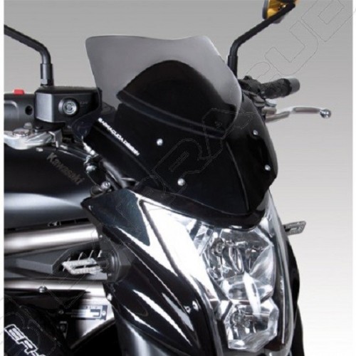 Barracuda cupolino Spoiler Aerosport Kawasaki Er6n dal 2012 al 2013