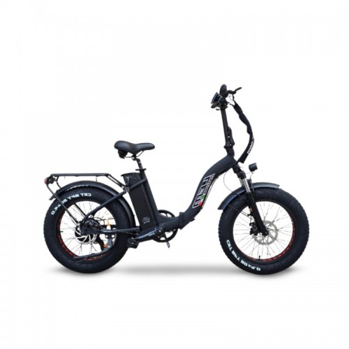 Bici Elettrica Lem Florida E-bike 36v 10ah 250W nera opaca