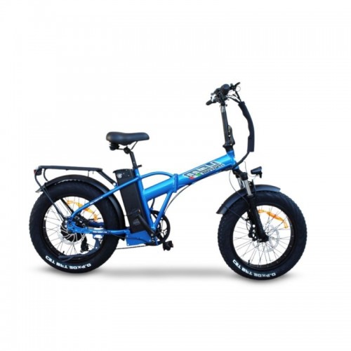 Bici Elettrica Lem Orlando special E-bike 48v 13ah 250W